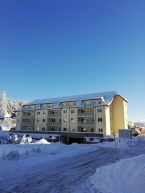 Residenz-Grafenmatt-Feldberg-Schwarzwald